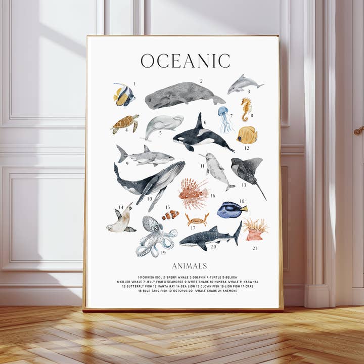 Ocean Animals Sea Art Print        for wholesale by Kumo Art Prints