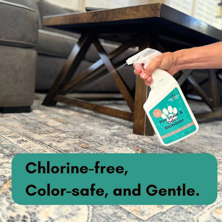 NOYATECH - Wholesale Pet Deodorizing Spray - NOYATECH Pet Stain and Odor Remover - Enzyme Carpet Cleaner and Pet Odor Eliminator for Home. Safe for Pets and kids.2
