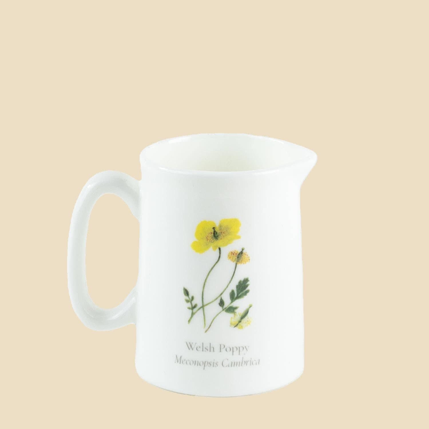 Sophia Davenport - Wholesale Jug - Wildflower Fine Bone China Jug Quarter Pint2