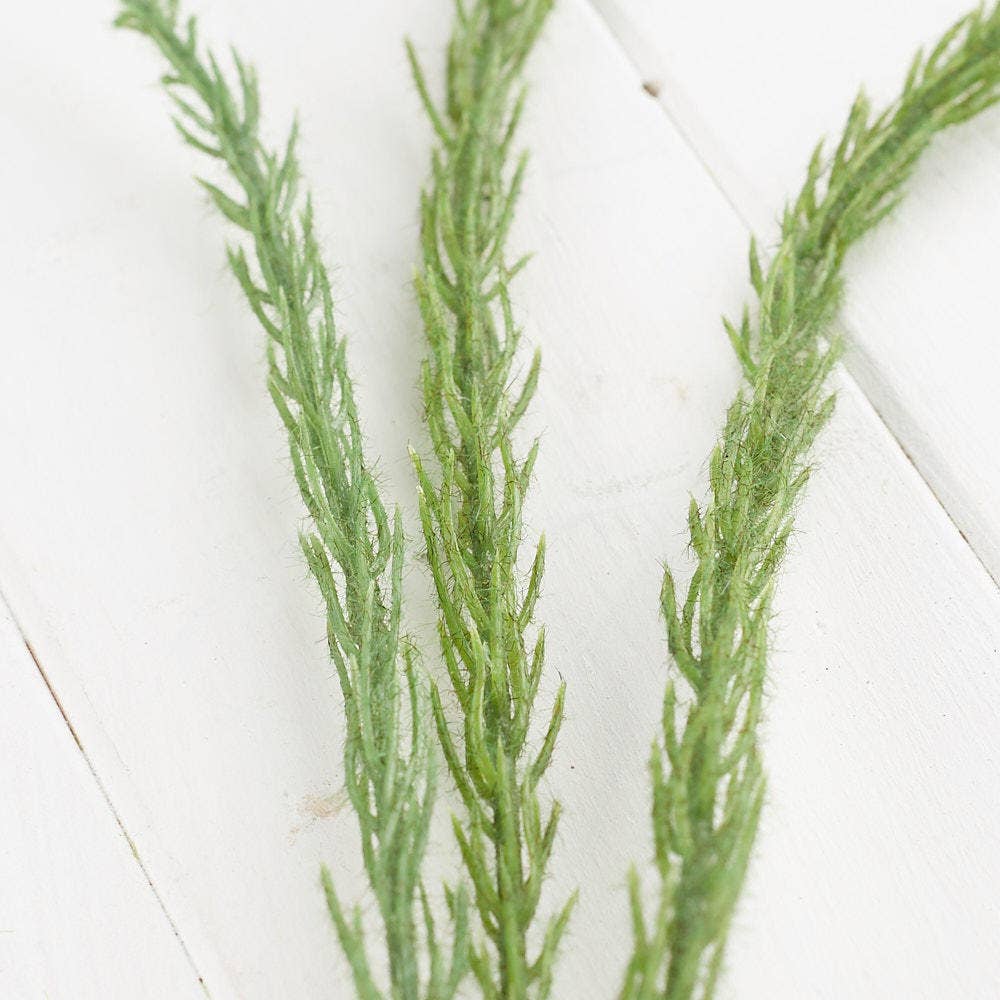 Factory Direct Craft – Engroshandel Kunstige blomster – 35" Kunstig Let Strandgræs Spray1