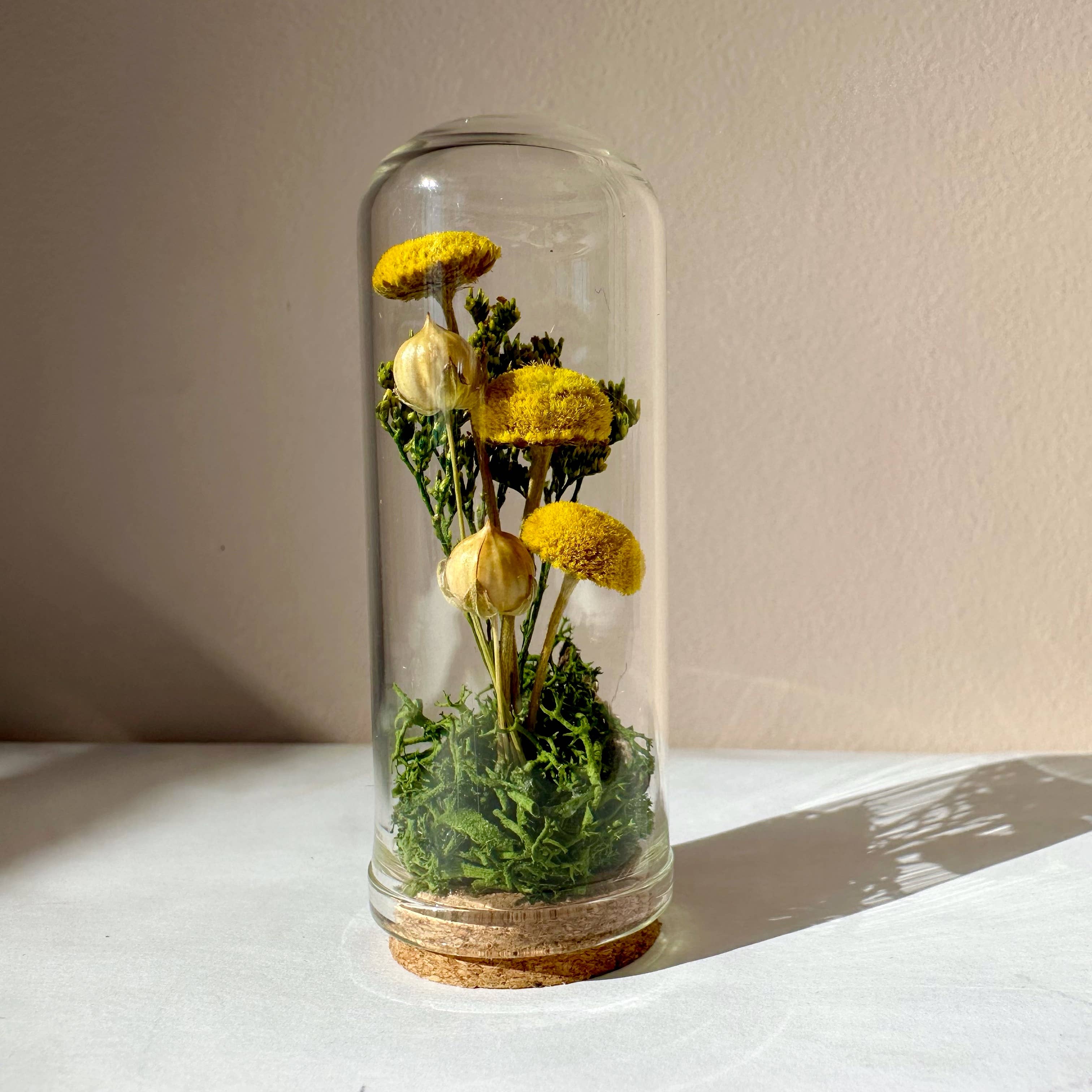 CA Studios - Wholesale Terrarium - Yellow Mushroom Fields Mini Glass Terrarium w. Dried Florals7