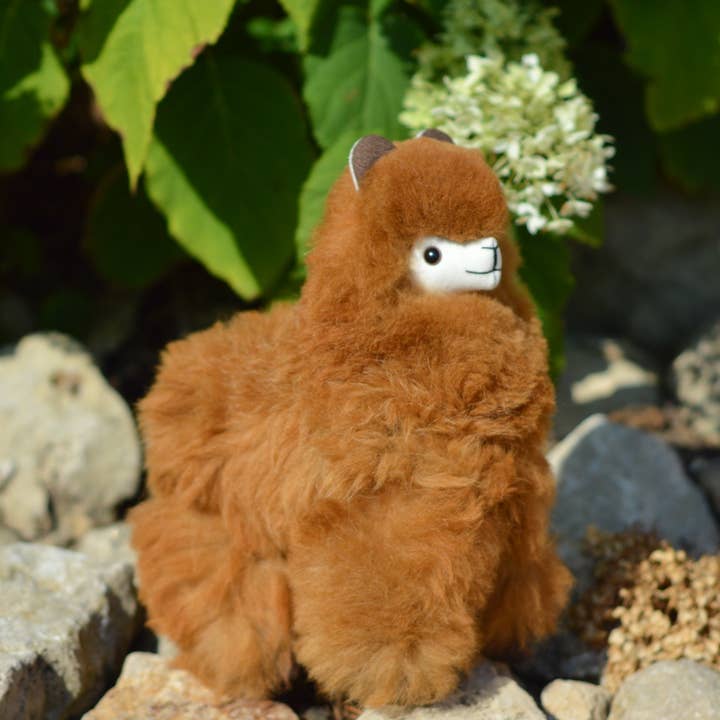 Alpaca market - Venta al por mayor Peluche - Niños y bebés - Peluche de alpaca