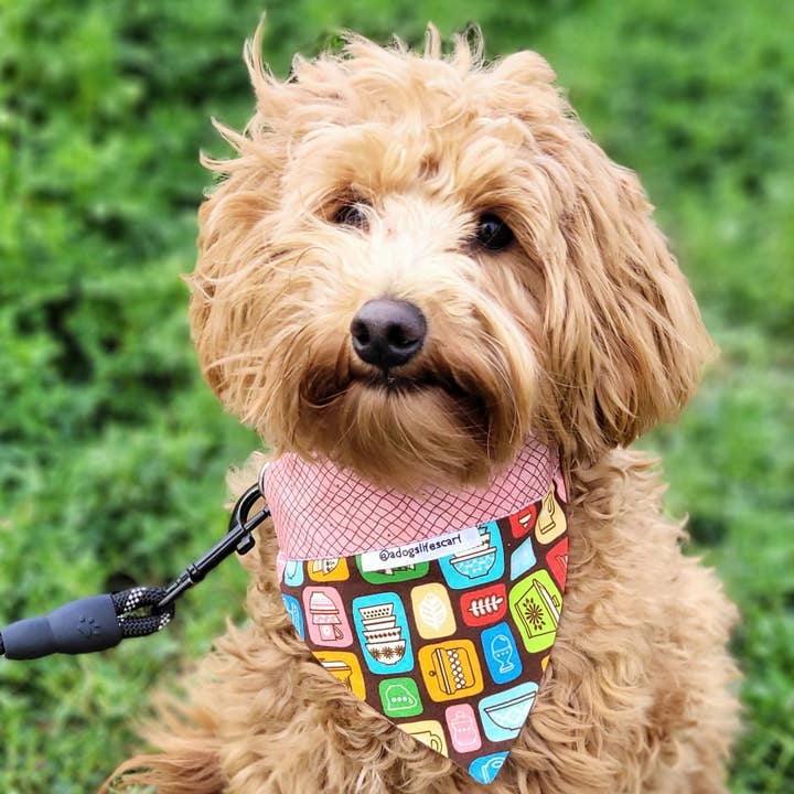 Vintage In the Kitchen Collar Scarf for wholesale by adogslifescarf