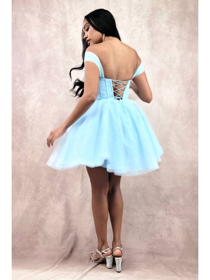 Chicas - Wholesale Dress - Women's - Short Off The Shoulder Tulle Dress With Brooch36