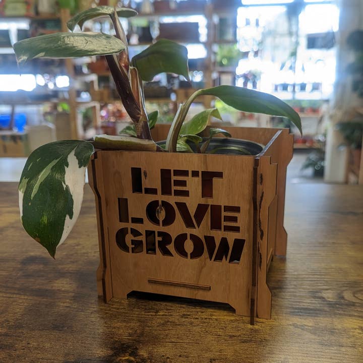 Let Love Grow Wooden Planter Box for wholesale by Catchpenny