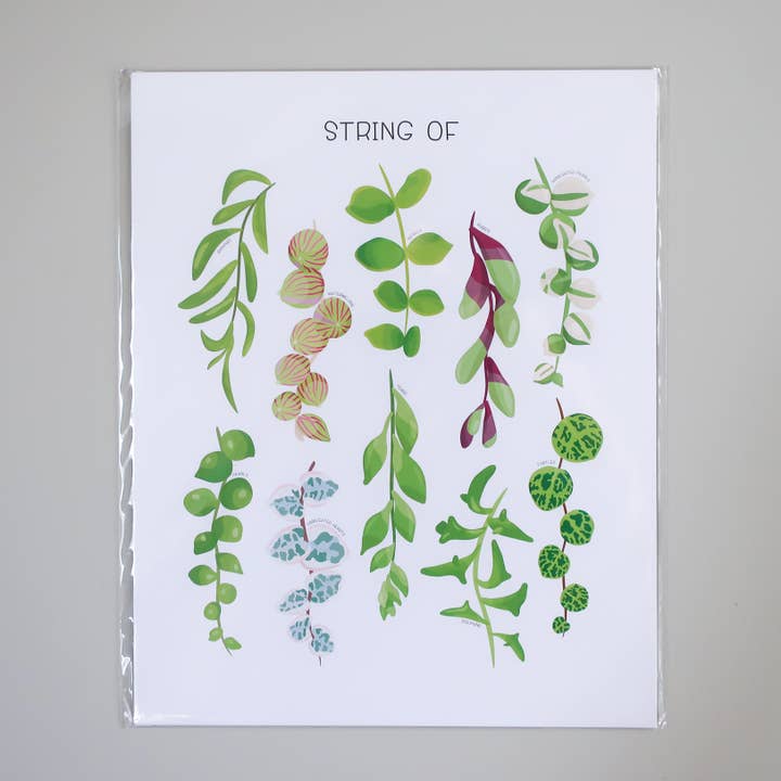 Types de « guirlandes » de plantes - Impression artistique éducative sur la nature pour la vente par Beehive 95 Designs