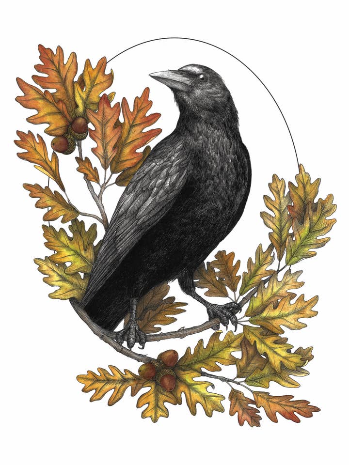 Crow's Vigil Art Print for wholesale by Kyla Rae Design