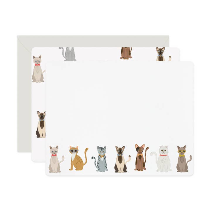 Seje Katte Flade Noter | Sæt med 6 i Boks for engroshandel hos Ramona & Ruth