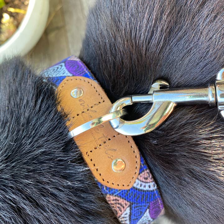 Outback Tails - Wholesale Pet Collar - Dog - Leather Dog Collar - Salt Lakes2