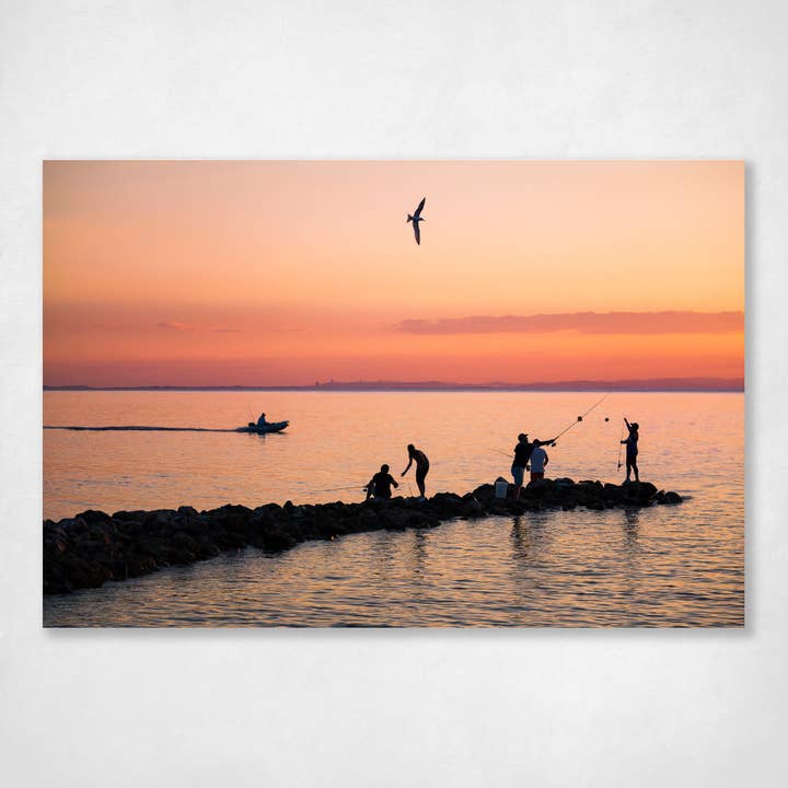 This is Amity for wholesale by Ocean's Echo