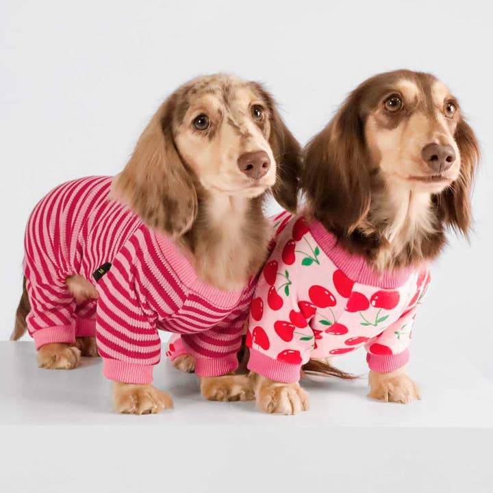 Fitwarm - Wholesale Pet Pajamas - Dog - Cute Cheery Dog Pajamas