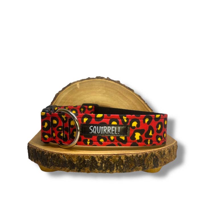 Gola Vermelha de Chita por atacado de Squirrel!