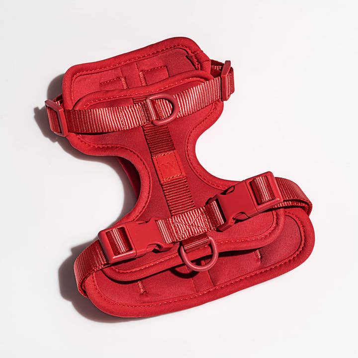 Wild One - Wholesale Pet Harness - Dog - Harness8