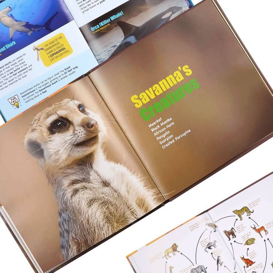 Abracadabra Books - Wholesale Early Reader Book (6-8) - Mini Explorers: Hardcover Box Set9