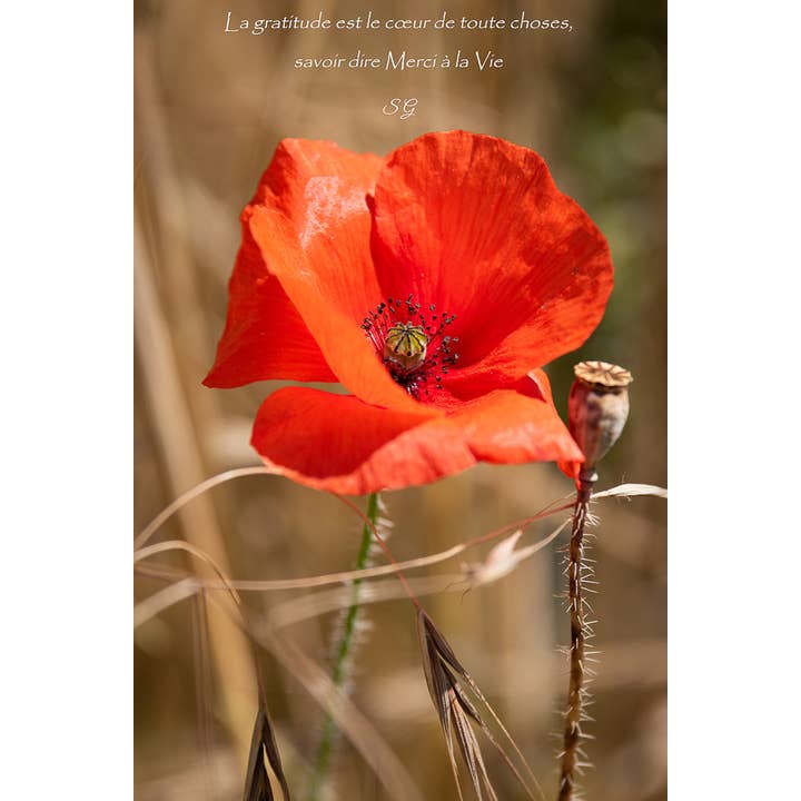 Oración para venta al por mayor de L'Ecriture D'Un Regard