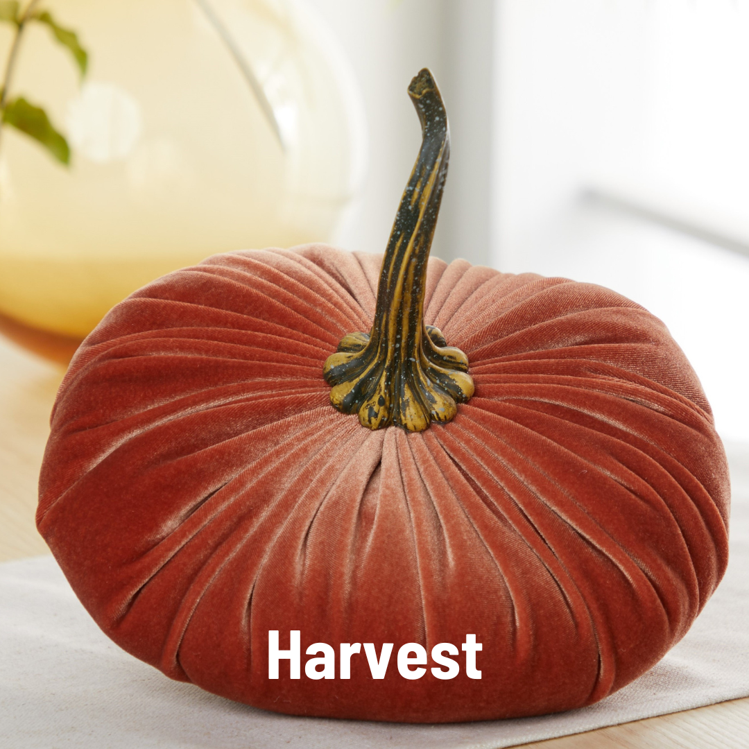 Your Heart's Content – Objeto de mesa decorativo por atacado – Abóbora Extra Grande de Veludo, Acento Outonal, Presente Pensativo3