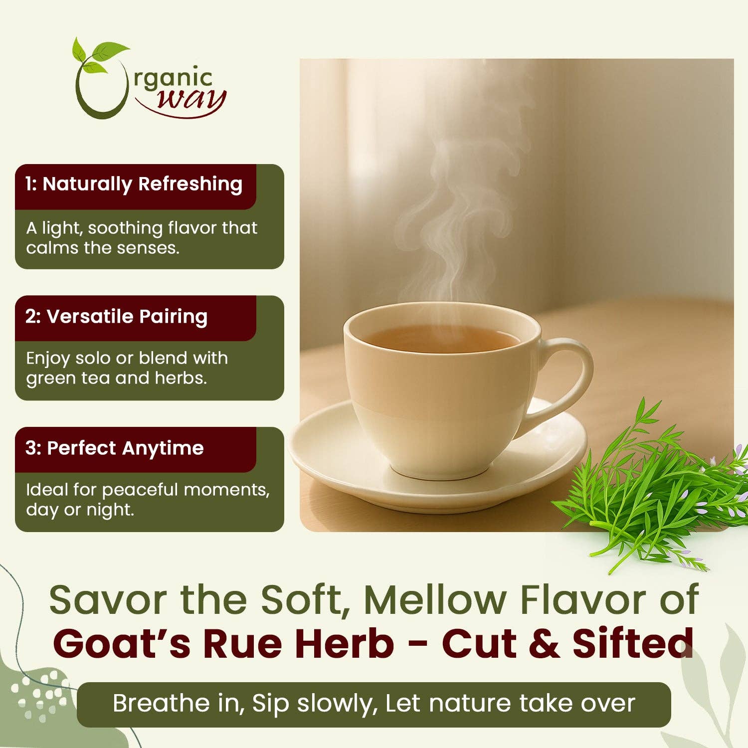 Organic Way LLC - Wholesale Loose Tea - Goat’s Rue Herb Cut & Sifted - Herbal Tea | European Wild-Harvest | Kosher & USDA Certified | Vegan, Non-GMO & Gluten Free | 100% Raw from Albania3