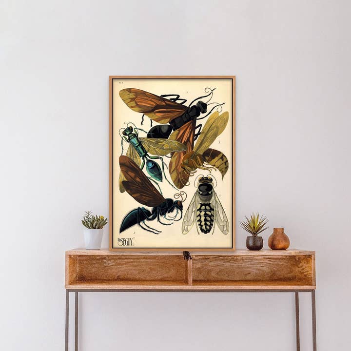 Vintage Wasp Insect Poster - Botanical Home Wall Art Decor for wholesale by Vintage Wall Graphics