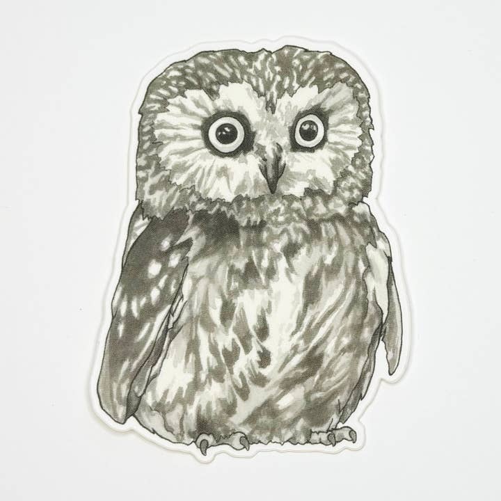 Owl Sticker for wholesale by Hey Hon