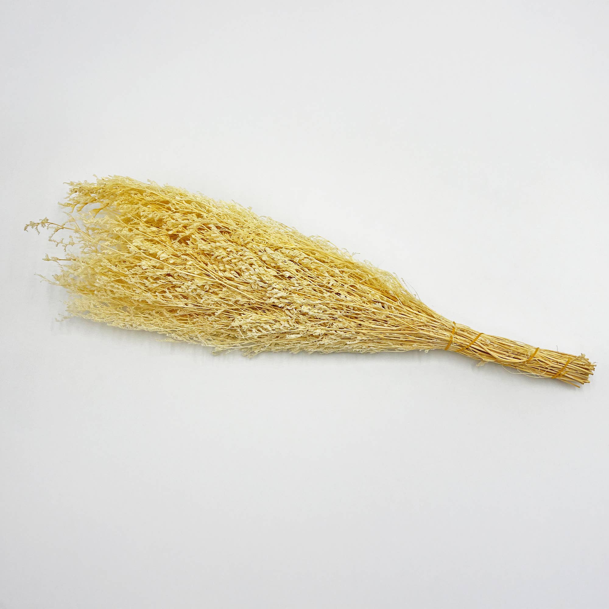 2626 Designs - Wholesale Dried/Pressed Flowers - Dried Preserved Valentin Grass Bouquet 21" Multiple Colors8