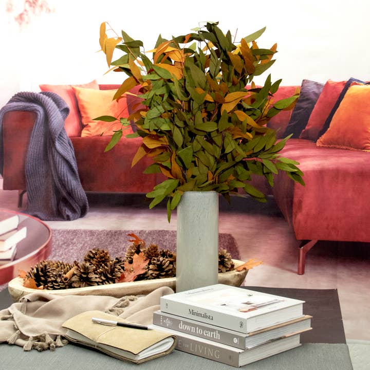 Andaluca - Wholesale Dried/Pressed Flowers - Farmhouse Willow Bundles10