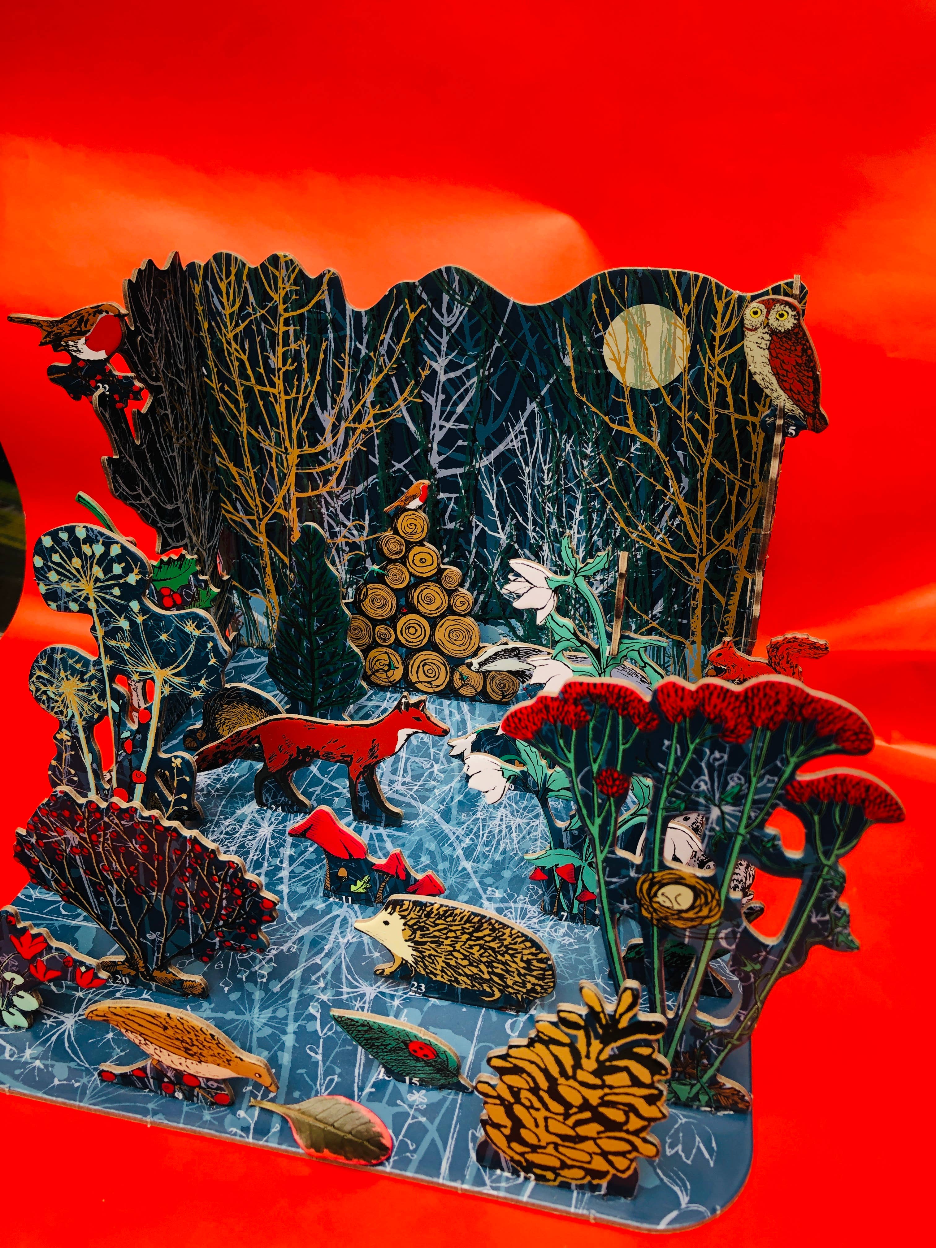 Roger La Borde - Wholesale Advent Calendar - Winter's Tale Pop & Slot Advent Large  - POPAL 6024