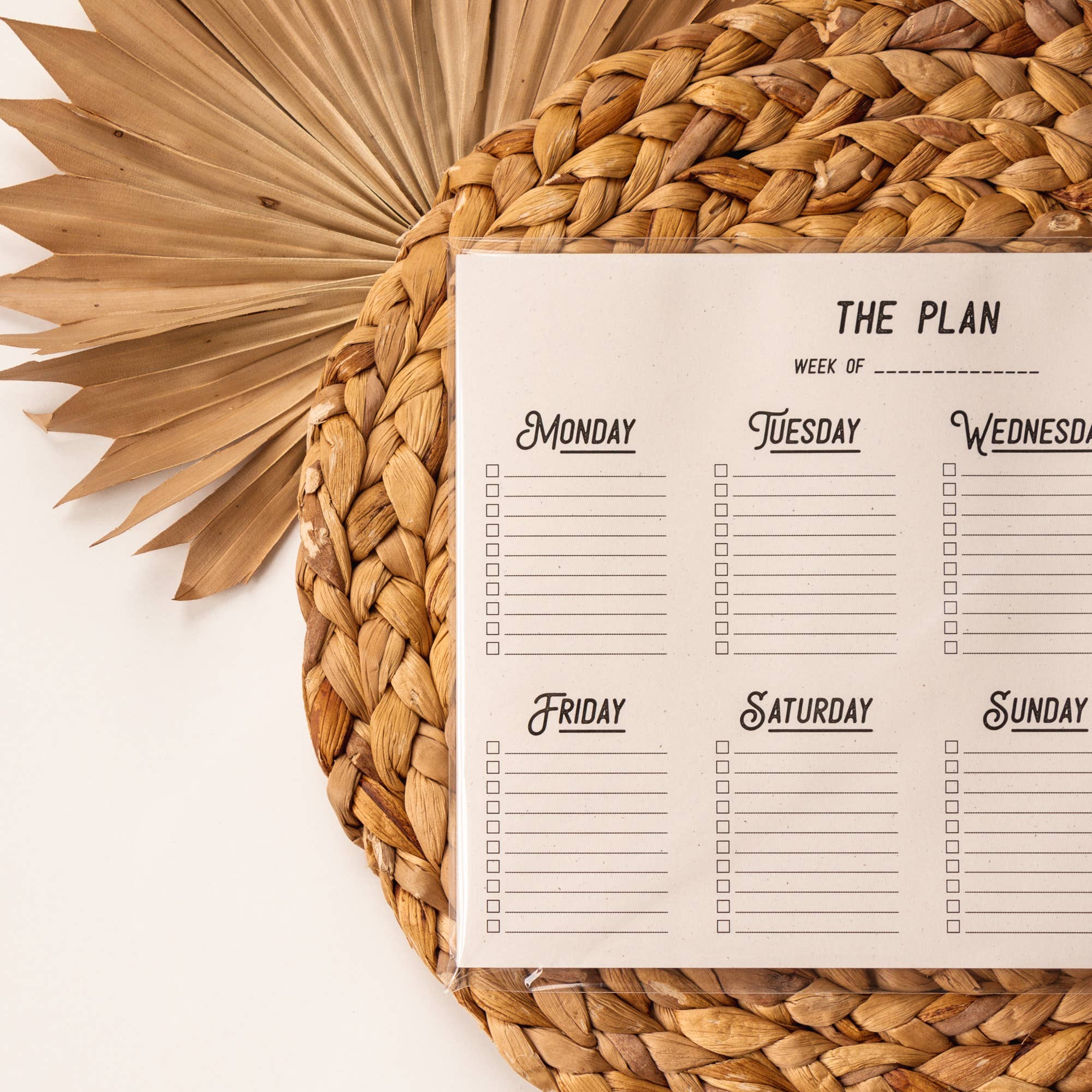 The Anastasia Co - Wholesale Planner - Weekly Planner Notepad for Back to School1