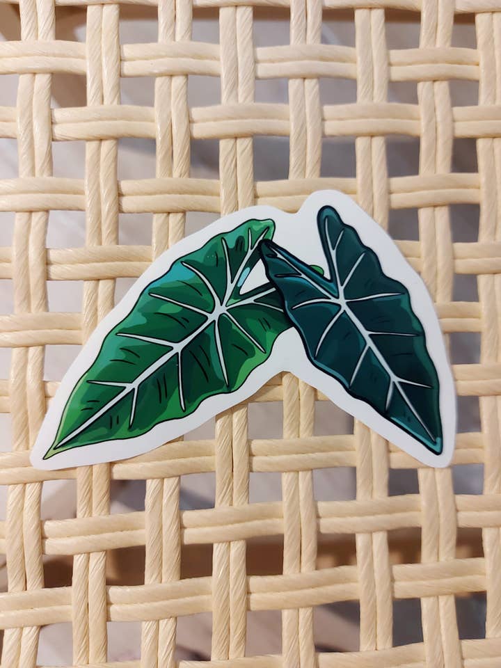 Autocollant vinyle Alocasia Tropical Plants pour la vente par LeeJackieeeDraw