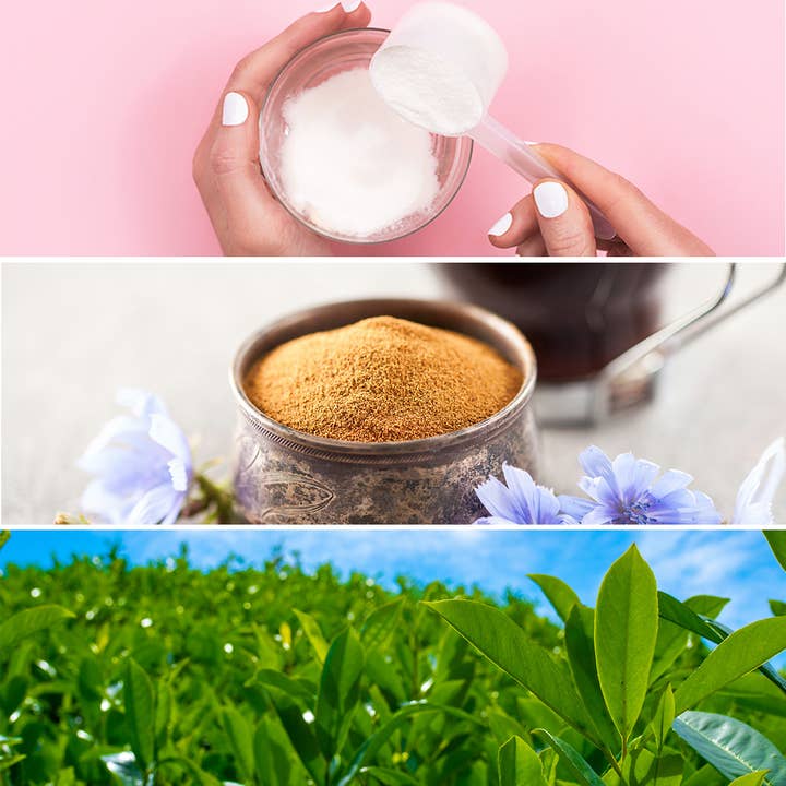 CLEAN Cause - Wholesale Iced Tea - Gut Health Prebiotic & Collagen Energy Drink Berry Vanilla