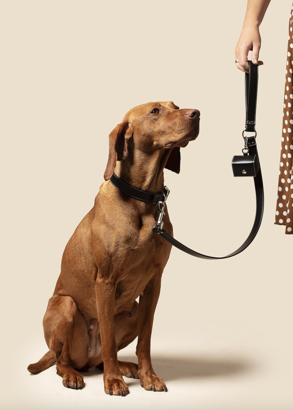 Skylos Collective - Wholesale Pet Poop Bag Dispenser - Vegan Leather Dog Poop Bag Holder5