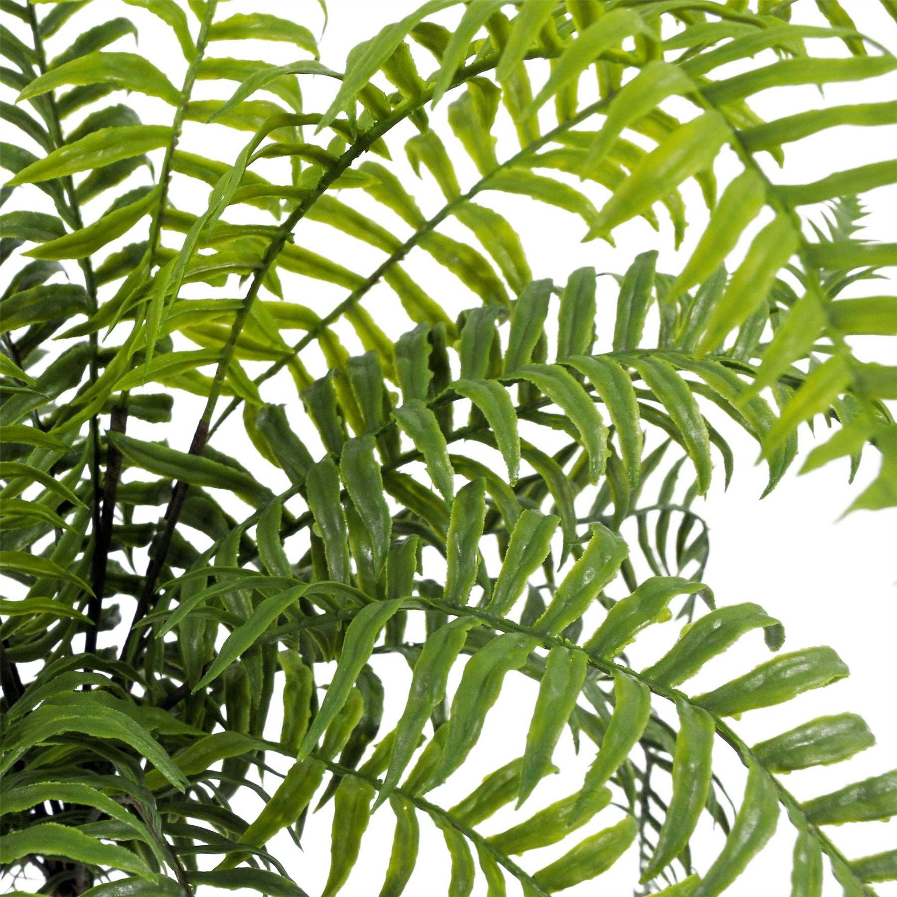 Leaf Design UK LTD – wholesale Artificial plant – Fern Plant Artificial Realistic 50cm Artificial Boston4