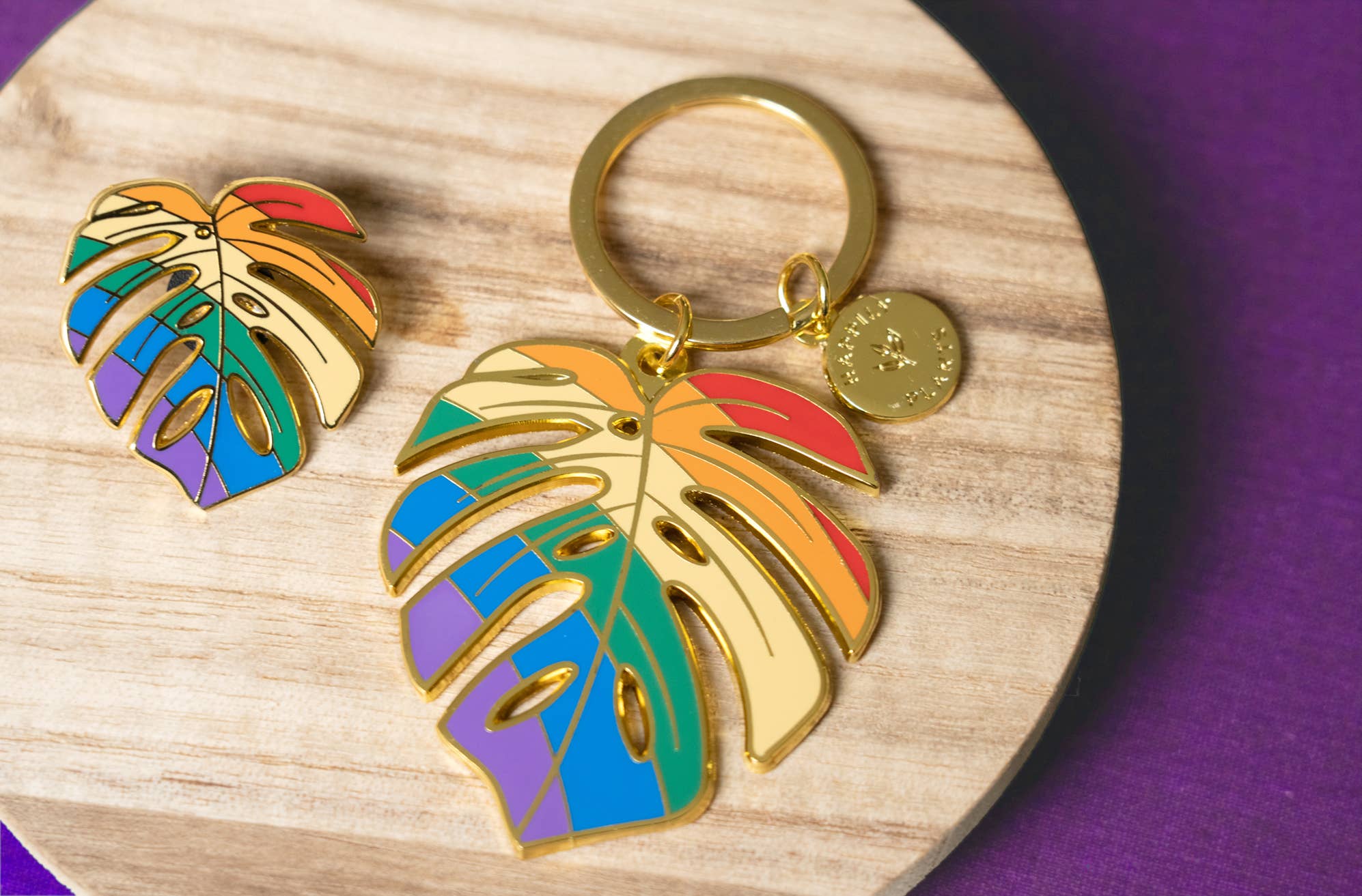 Happily Plants - Wholesale Keychain - Women's - Monstera Keychain & Bag Charm, Pride Rainbow Stocking Gifts4