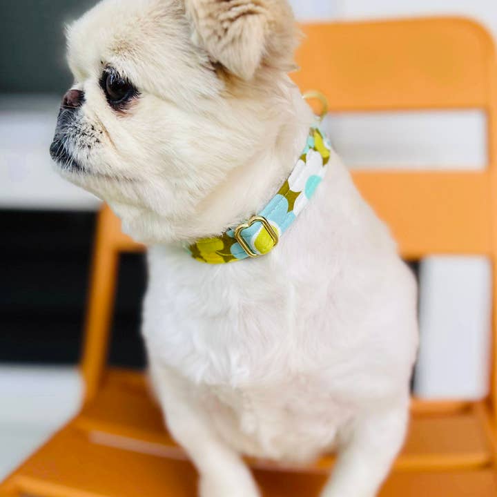 La « rivière » - Collier pour chien pour la vente par Little Barks Boutique