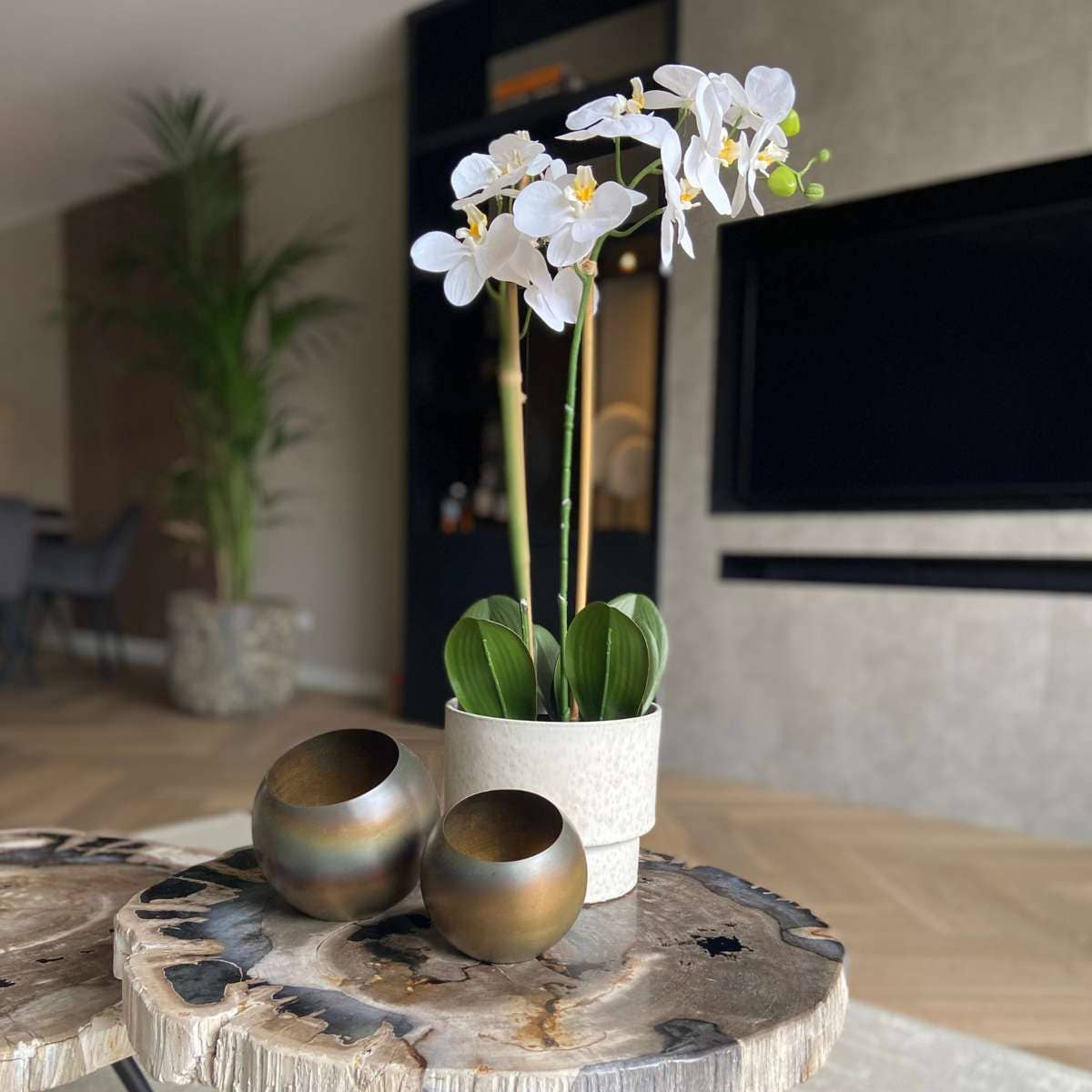 Oasis of Life - Wholesale Artificial Flowers - Artificial Phalaenopsis Orchid – 55cm Tall – White Artificial Orchid – Deceptively Realistic & Maintenance-Free – Luxurious Decorative Flower for Living Room, Office & Dining Table2