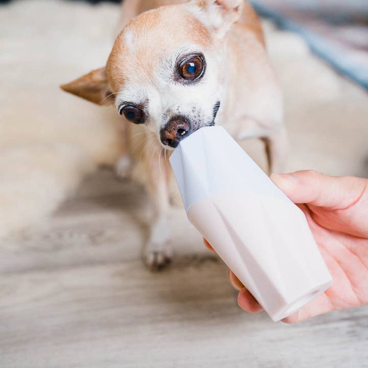 Up Dog Shop - Wholesale Pet Chew Toy - Dog - Modern Treat Filler/Stuffer Toy for Dogs - The Ubbe (6 unit)
