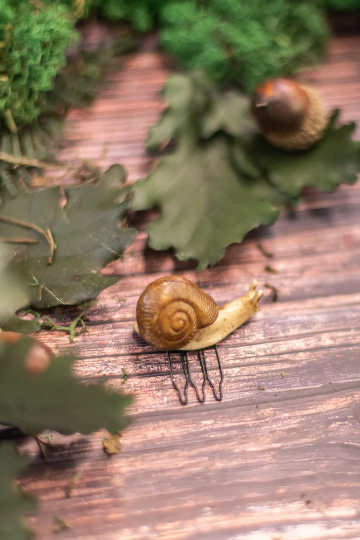 Costurero Real – Großhandel Haarnadeln – Schnecken-Haarspangen im Wald-Stil – märchenhafte Hochzeits-Accessoires von goblincor4