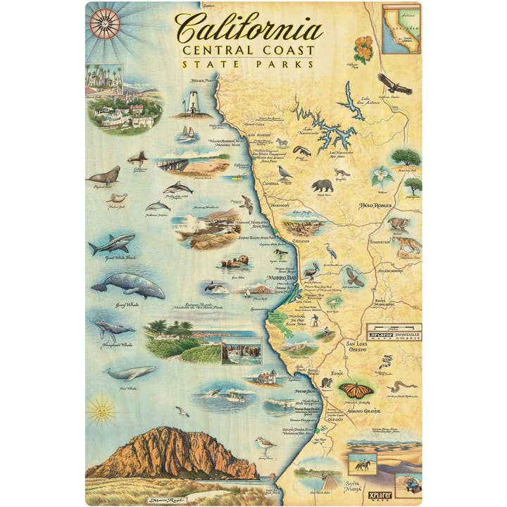 Houten bord met staatsparken aan de kust van Central California voor wholesale door XPLORER MAPS