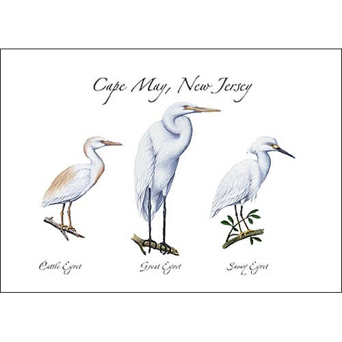 3 Egret for wholesale by Earth Sky + Water