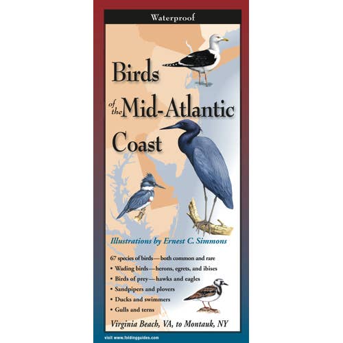 Guide de la nature sur les oiseaux de la côte médio-atlantique pour la vente par Earth Sky + Water