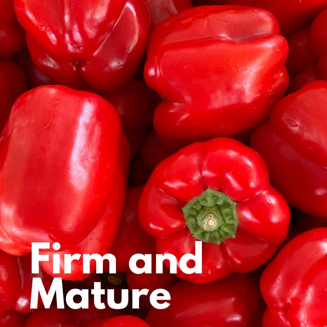 CONVIVIA for italian food lovers - Wholesale Pasta Sauce - Ready-made cherry tomato sauce with organic peppers 330g4