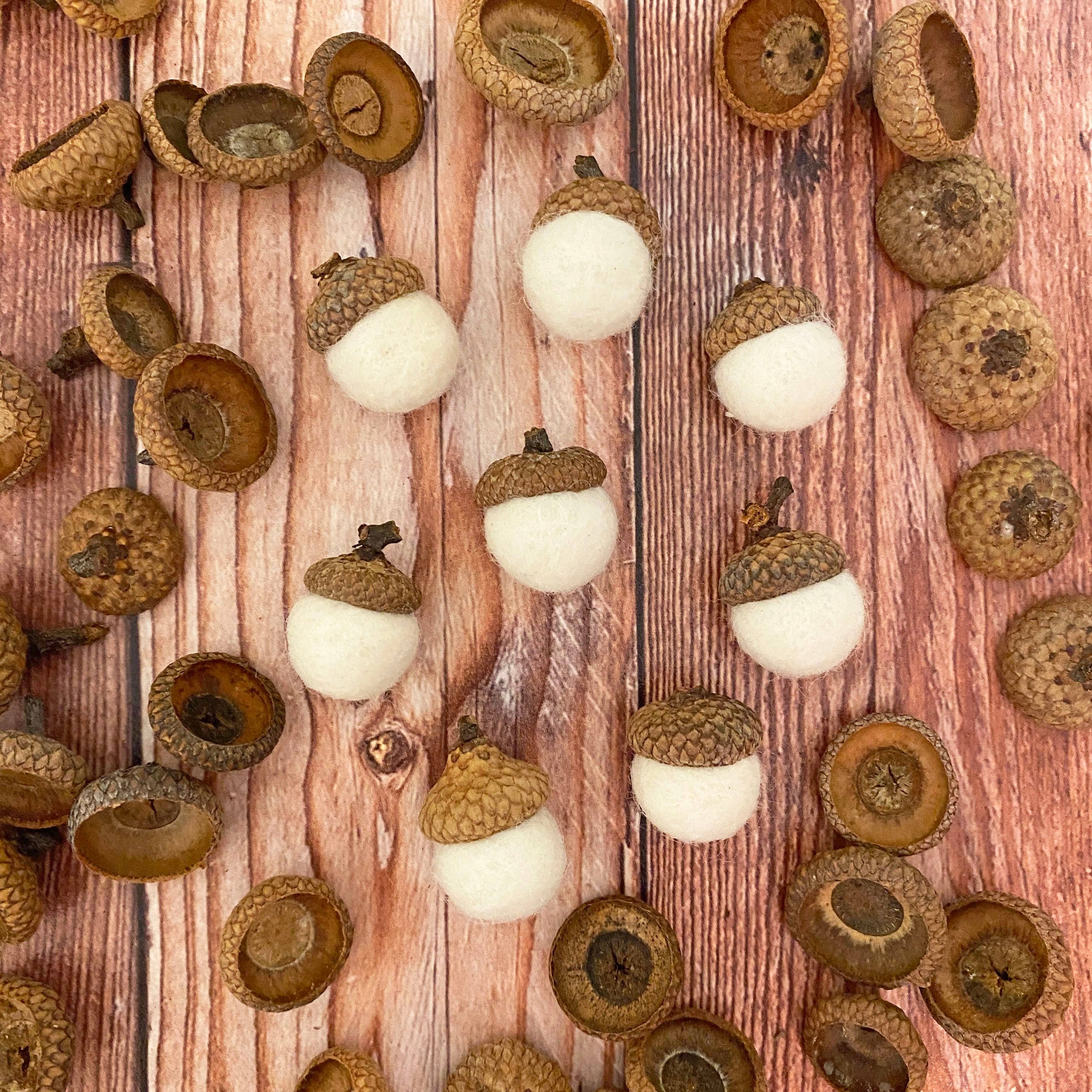 Oakwind Hollow - Wholesale Decorative Tabletop Object - MINI Felt Wool Acorns Fresh Cream2