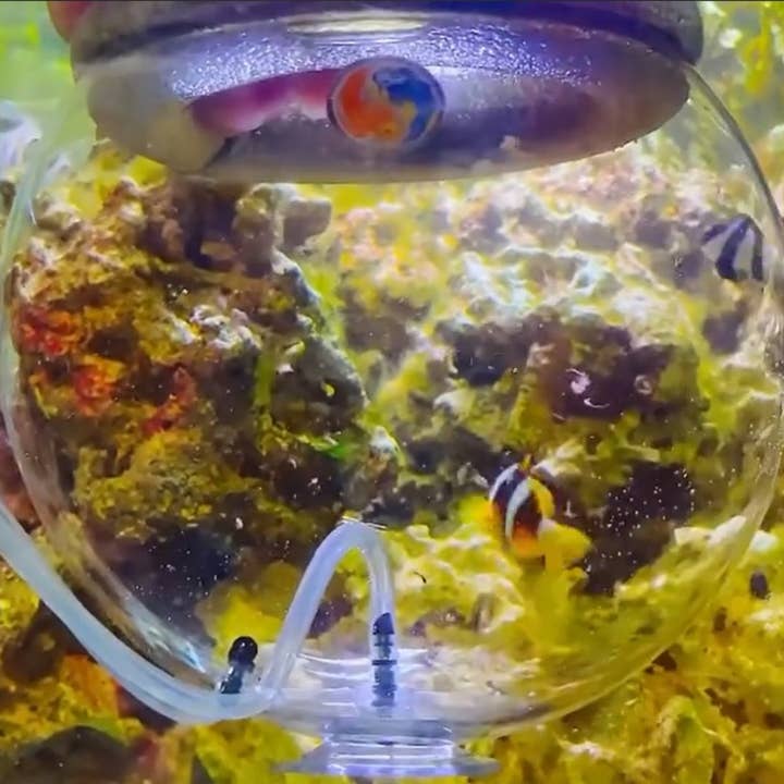 TankMatez - Wholesale Pet Toy - Cat/Dog - TankMatez Hydraulic Silent Release Bubble Fish Trap2