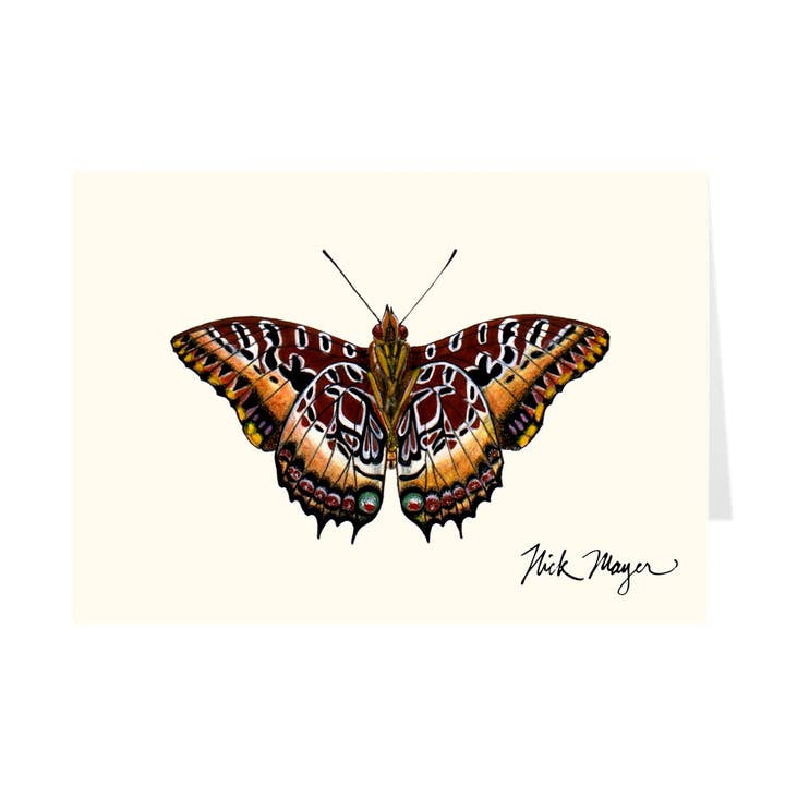 Black Bordered Charaxes Notecards for wholesale by Nick Mayer Art