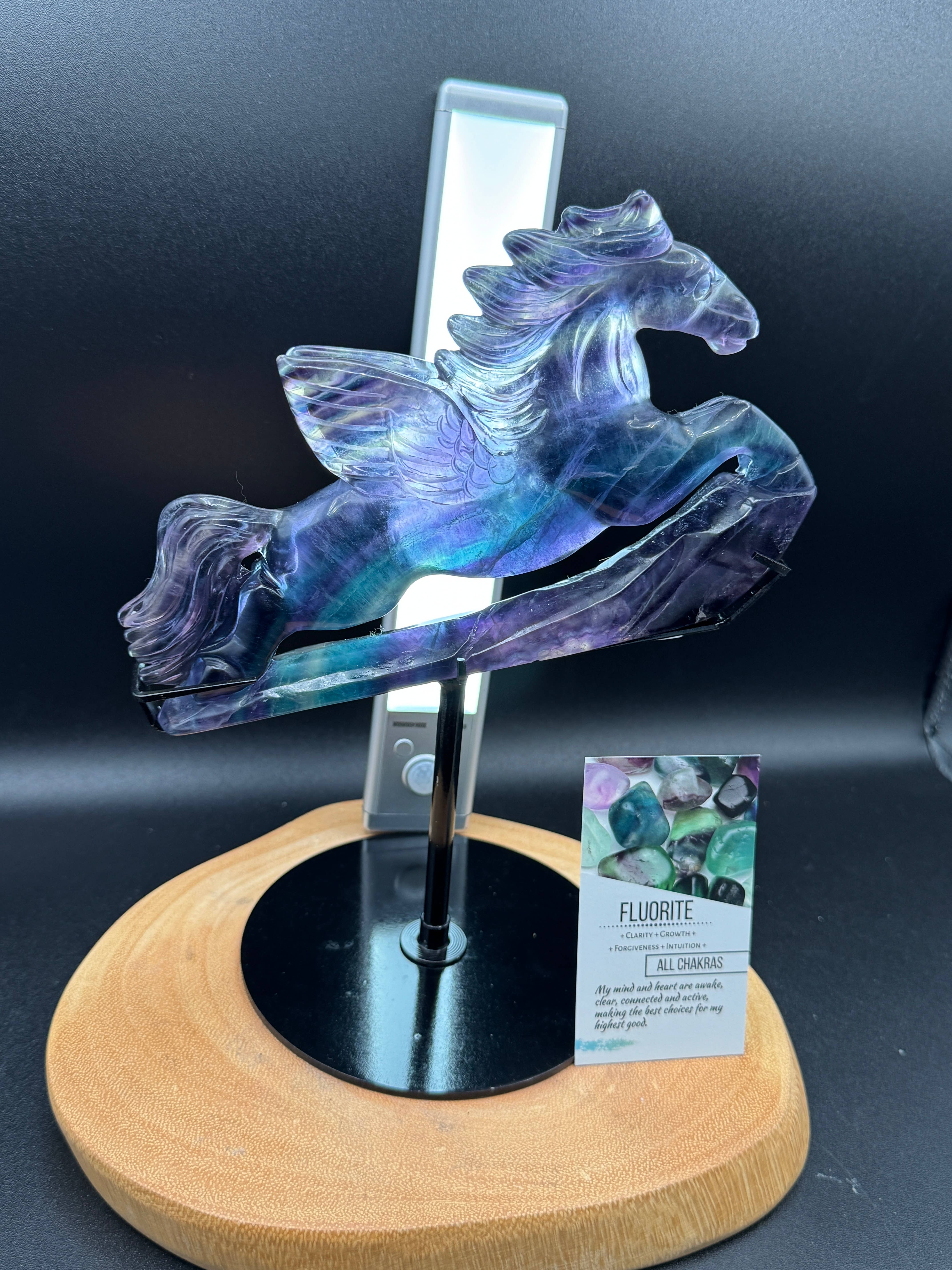 The 7 Directions - Wholesale Spiritual Stone/Crystal - Exquisite Rainbow fluorite Flying horse Pegasus H2081