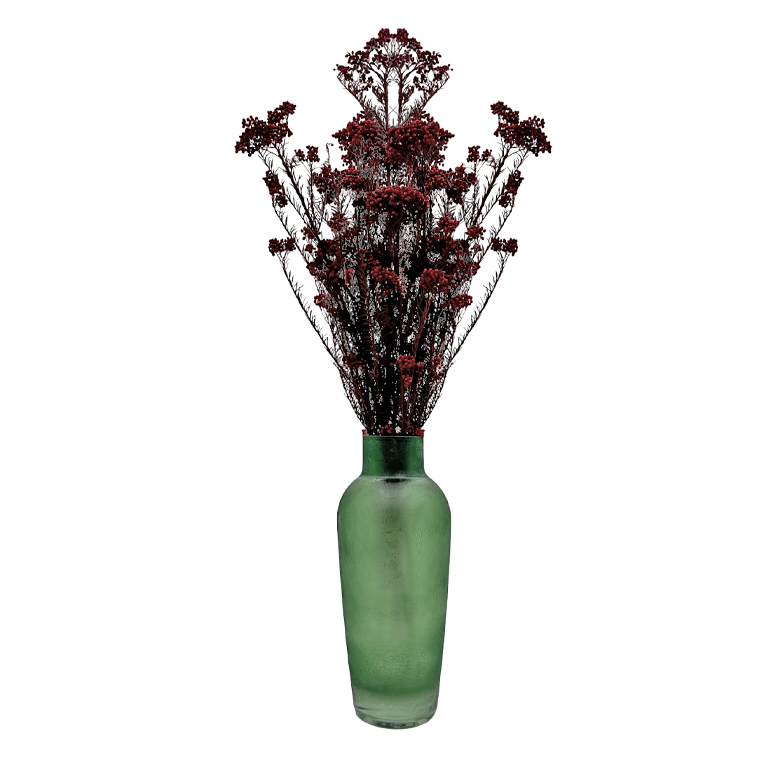 2626 Designs – Engroshandel Tørrede/pressede blomster – Konserveret hirse og risblomst - Immortelle og Ozothamnus blomster5