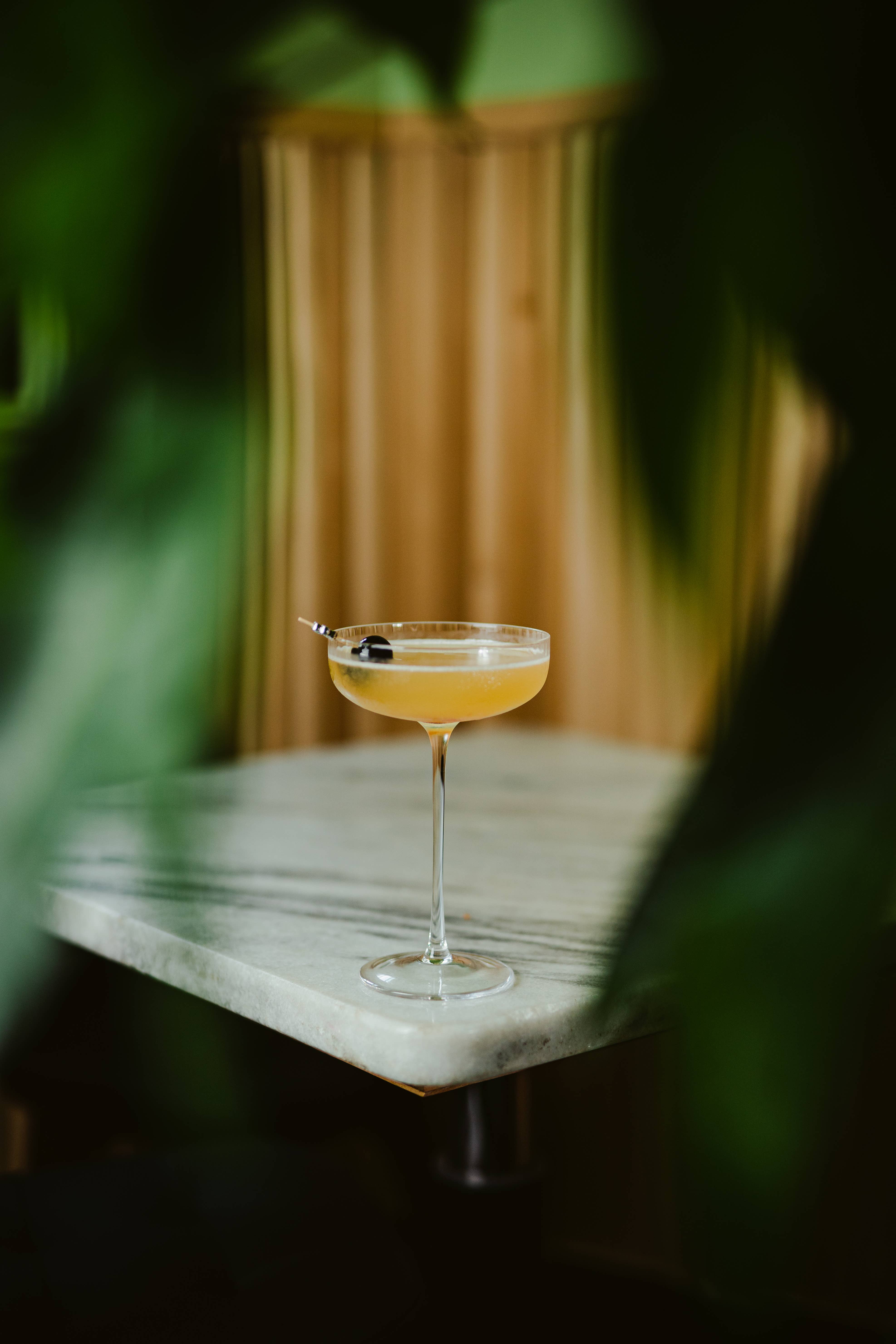 Hospitality Glass – Engroshandel Cocktail-/likørglas – Hawthorne 7,5 ounce høj coupé1