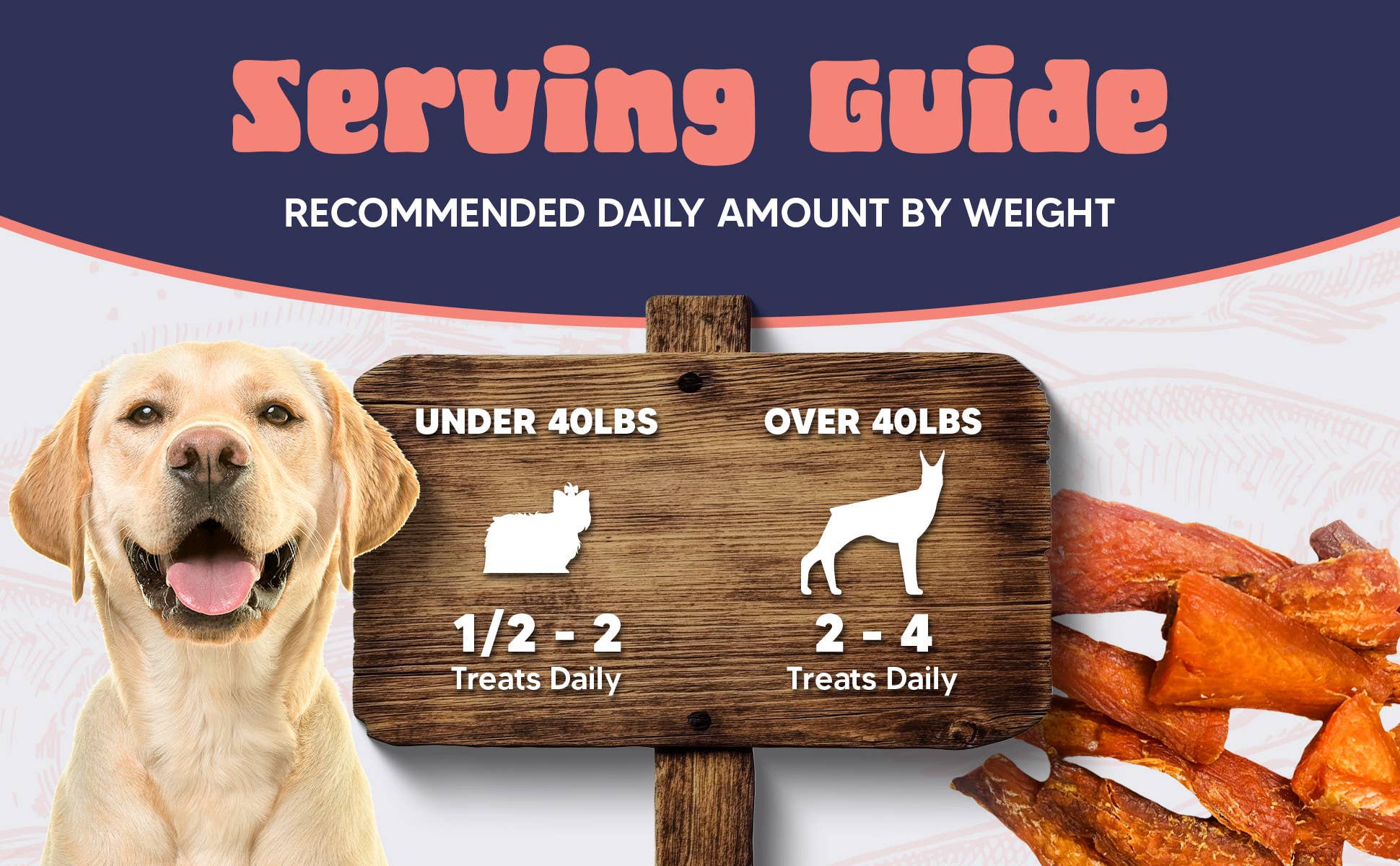 It's Just Salmon - Wholesale Pet Treats - Dog - It's Just Salmon Gourmet Dog Treats, 100% Natural, 10 oz.8