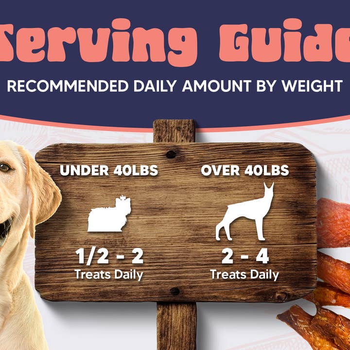 It's Just Salmon - Wholesale Pet Treats - Dog - It's Just Salmon Gourmet Dog Treats, 100% Natural, 10 oz.8