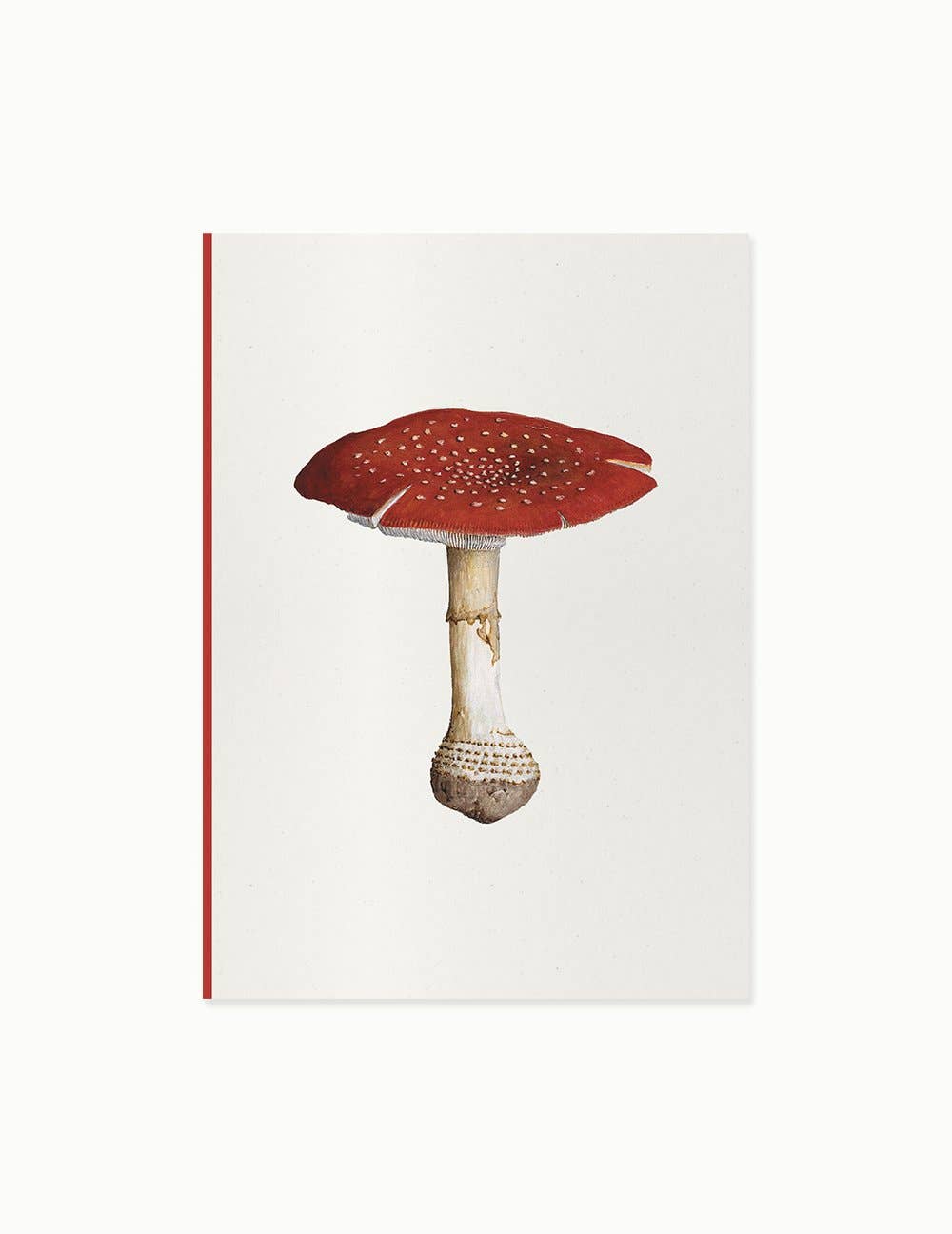 Paper Street - Vente Cahiers - Collection du Journal des Champignons : Amanita Muscaria1