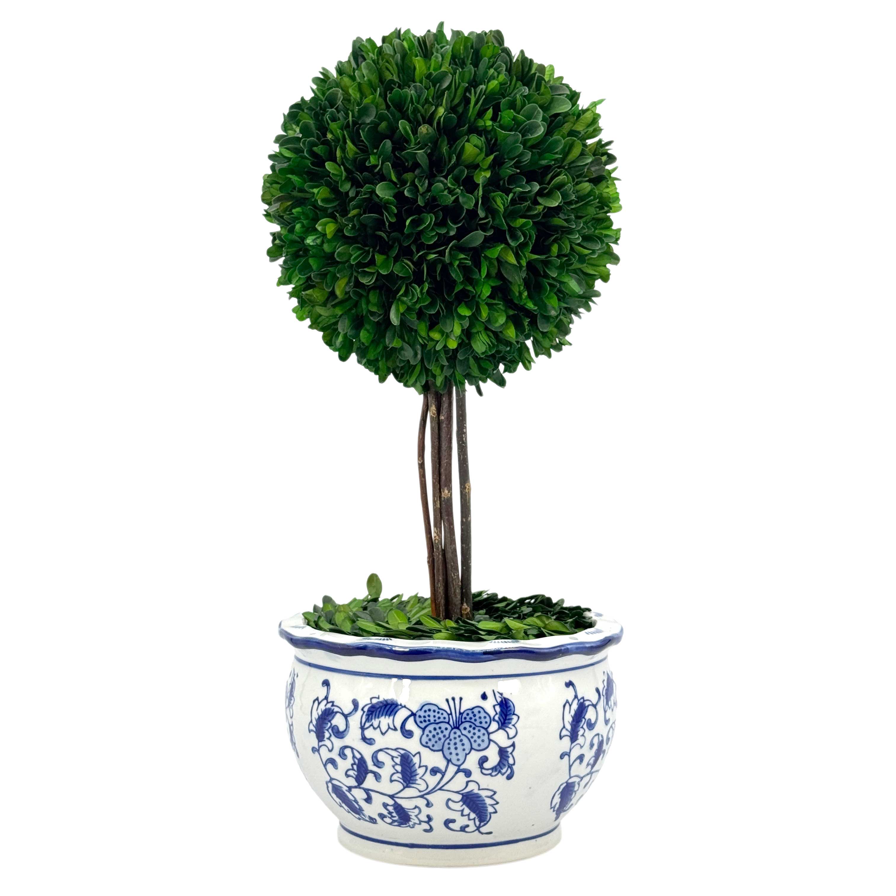 Galt International Company - Vente Plantes artificielles - Arbre topiaire en boule de buis dans un pot rond en céramique bleu et blanc6